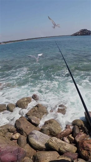 Pesca con Warren Kids: Ni las Aves Pueden Resistirse