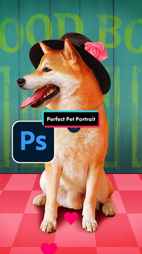 Transform Your Pet Photos with Adobe Fresco: Oil Painting Tutorial