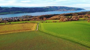 Spring forests and meadows with Rhine river village