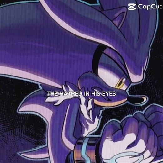 Blaze and Silver got in a fight