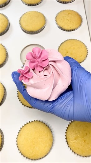 Cupcakes by Megsy on Instagram: "Pink cupcakes #cupcakesofinstagram #cupcakes #cupcakedecorating #cupcakeoftheday #pink"
