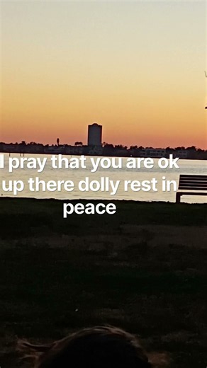 Fly high butterfly @DollyParton