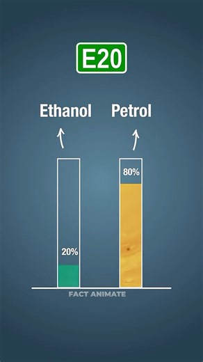 e20 petrol advantages and disadvantages #hindi