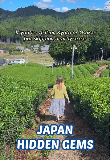 Explore Shigaraki: A Pottery Paradise Near Kyoto