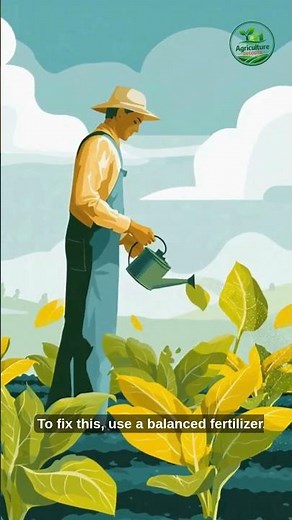 Spinach Leaves Turning Yellow? Fix It Fast! (3 Easy Tips)