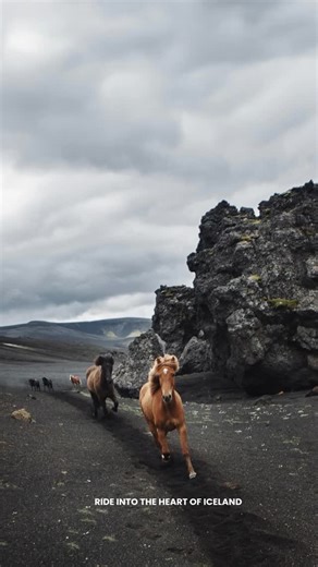This unforgettable tour takes you through the stunning Landmannalaugar region in the heart of Iceland. You ride past colourful rhyolite mountains, soak in natural hot spring, and journey across dark dunes and vast lava fields. Book here: https://www.ishestar.is/packages/landmannalaugar-adventure/ DURATION: 7 days - 6 nights - 6 riding days RIDING SKILLS: Intermediate and Advanced riders MINIMUM AGE: 16 years DEPARTURES: Departures 2026: 13-19 July and 20-25 August | Íshestar horseback riding tou