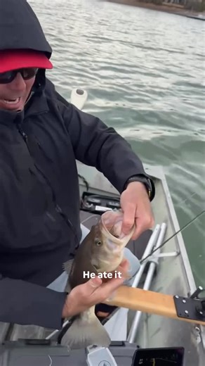 Fly Fish Food | A fly so good that even Josh and Garrison can catch fish on it! The FPV Minnow has been tested by multiple anglers. Their responses have... | Instagram