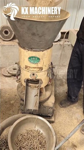 Palm Tree Pellet Machine #pelletmachine #pelletmill