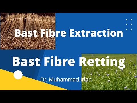 Bast Fibre Extraction, Bast fibre Retting Process