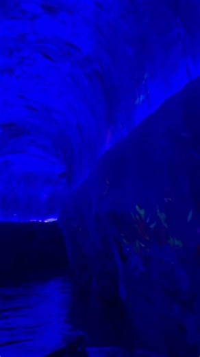 Boating in Underground Water Cave 🇨🇳 | Wonder in Guiyang, China 🌊🚤 #youtubeshorts #travel