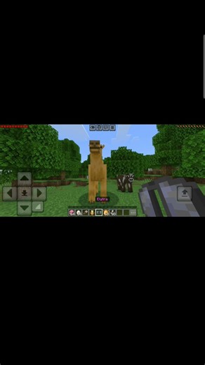 I have got illegal items in Minecraft pe hardcore