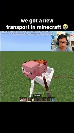 Minecraft Sulfur Cube Update Moment