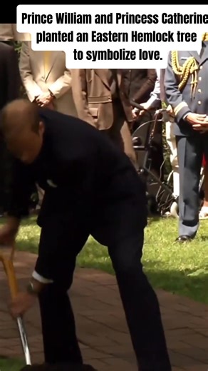 3.4K views · 108 reactions | Prince William and Princess Catherine planted an Eastern Hemlock tree to symbolize love.. #royalfamily #princesscatherine #kingcharles #unitedkingdom #us #usa #trending #viral #princessdiana #princewilliam #princeharry #katemiddleton #queenelizabeth #queencarmila #princelouis #princegeorge #princesscharlotte | Royal News Todays | Facebook