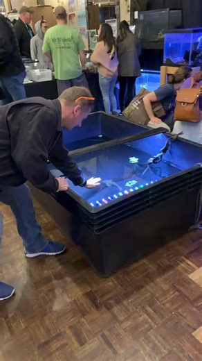 1.8M views · 8.7K reactions | @pleco_paradise_llc is showing off the...