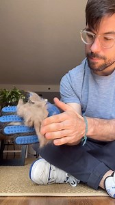 37K views · 6.7K reactions | I feel lied to… 沈 Bengal cats do...