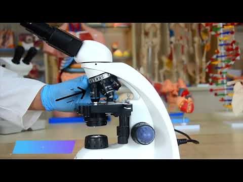 Microscópio Biológico Binocular com Ampliação de até 2000x ( Iluminação LED - TIM-18