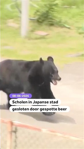 Scholen in Japanse stad gesloten door gespotte beer