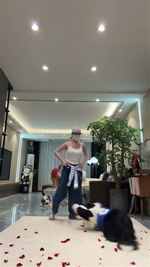 Human-Dog Dance: Charming Duo's Smooth Moves Human-dog dance, Dog dance, Pet dance, Cute d