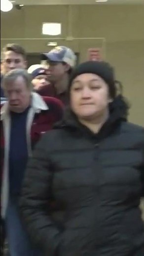 Navigating the Maze of Auto Insurance