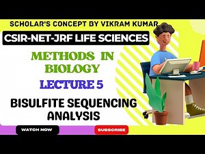 Bisulfite Sequencing (Method and Interpretation) | Methods in Biology
