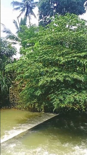 Peaceful Water Therapy Sounds | Soothing ASMR Flow #shortvideo