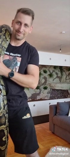 #enclosure #burmesepython #reptilekeeper #amazing #terrariumbau #tigerpython #reptilesoftiktok #tiktok #python #snake #tooltime #tiktokgermany #work #viral #viralvideo #fy #fyp #fypシ #4u #4upage #foryou #foryoupage