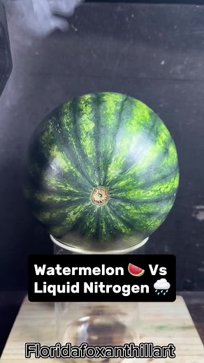 Liquid Nitrogen vs Watermelon: An ASMR Experiment