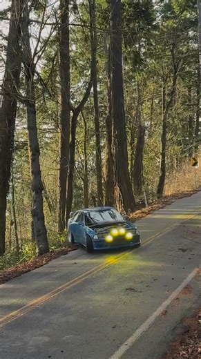 @bvbuilds on Instagram: "edgemaxxing"