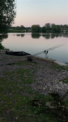 Spring carp fishing 🎣 #nature #peace #photography #mentalhealth #fishing #carp
