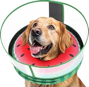 Inflatable Dog Cone with Anti-Licking Clear Shield, Protective Dog Donut Collar After Surgery, Adjustable Soft Recovery Cone for Pets, Alternative Collar with Buckle Strap (Watermelon, L)