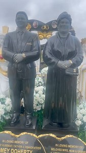 52K views · 184 reactions | Paddy Doherty Site on Reels | Facebook