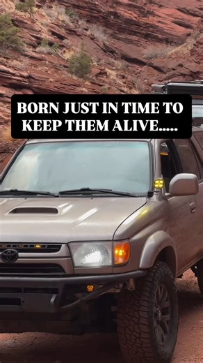 4Runner Lifestyle | How many miles on your 4Runner? @4runyouover | Instagram