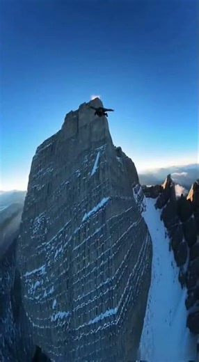 Insane Cliff Jump in the Snow #shorts #extremesports