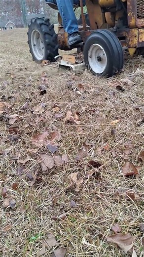 1961 Cub Cadet Original mowing #cubcadet #tractor #shorts