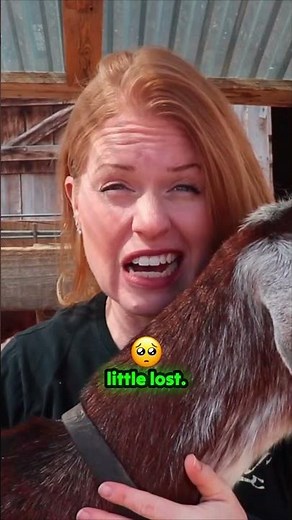 🐐 How My Husband Brought Home My First Goat 16 Years Ago