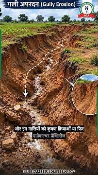 What is Soil Erosion? Explained in 2 Minutes! 🌍