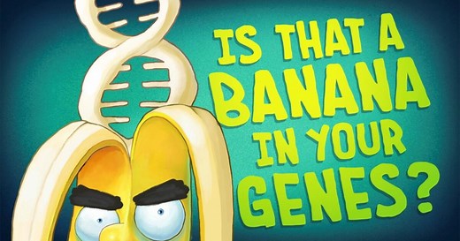 The Gene Explained | Is That a Banana in Your Genes?