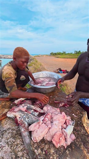 Dolphin Fish Gets CUT Open #shorts