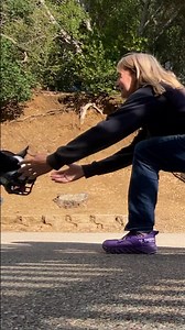 Easiest way to muzzle train is to cut the whole front off a muzzle, and then either play with a ball/tug or throw tons of food on the ground. As soon as the food is gone or the toy play is over, remove the muzzle. Do that a few times, and the dog will be stuffing their head in faster then you can get it out of your hands. This particular muzzle is way too big for this dog, but I already had one with the front cut off, and I didn’t want to sacrifice another muzzle. His “real” muzzle will be sized