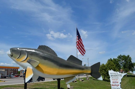 Willie Walleye - The Biggest Catch - Lake of the Woods