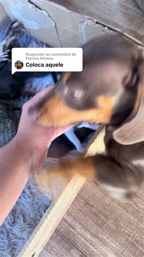 Humor e Saúde: Não Põe a Mão!