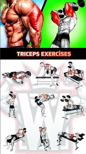 9 Dumbbell Triceps Exercises for Insane Arm Gains 💪#armworkout #tricepsworkout #workout