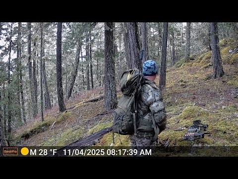 US Truck Driver Has Close Up Visual Of Large Hairy Human Like Beings And MORE