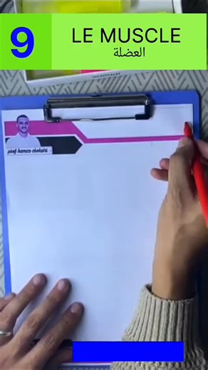 hamza.chokairi on Instagram: "La contraction musculaire (partie 1)"