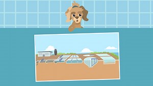 Where Does the Wastewater Go? | sofatutor.com