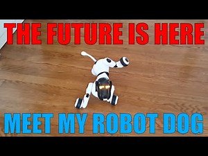 Contixo Puppy Smart (Robot Dog) Review