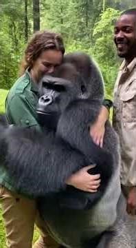 “Heart-Melting Reunion: Animals Run to Hug Their Humans After So Long 💕” #animalreunion