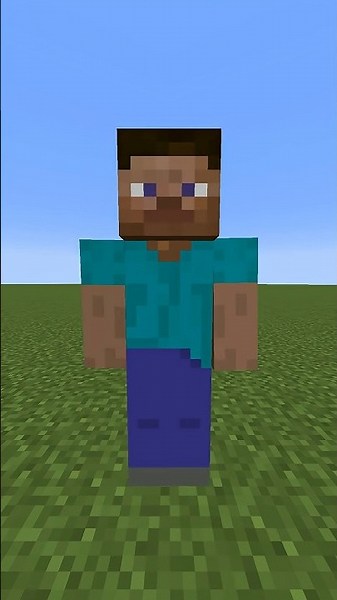 正しい順番で並べろ１３【マイクラ】 #minecraft #animation #マイクラアニメ