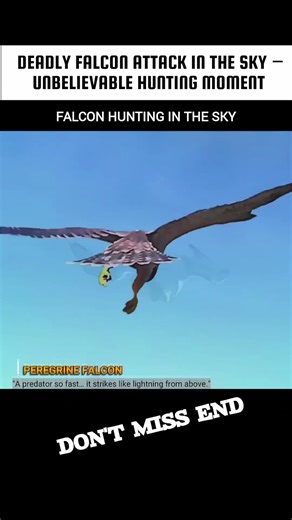 Unbelievable Peregrine Falcon Strike from the Sky | #falcon #shorts #birds
