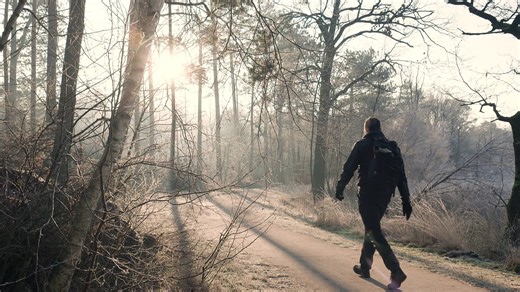 Hiking, Walking, Trail. Free Stock Video